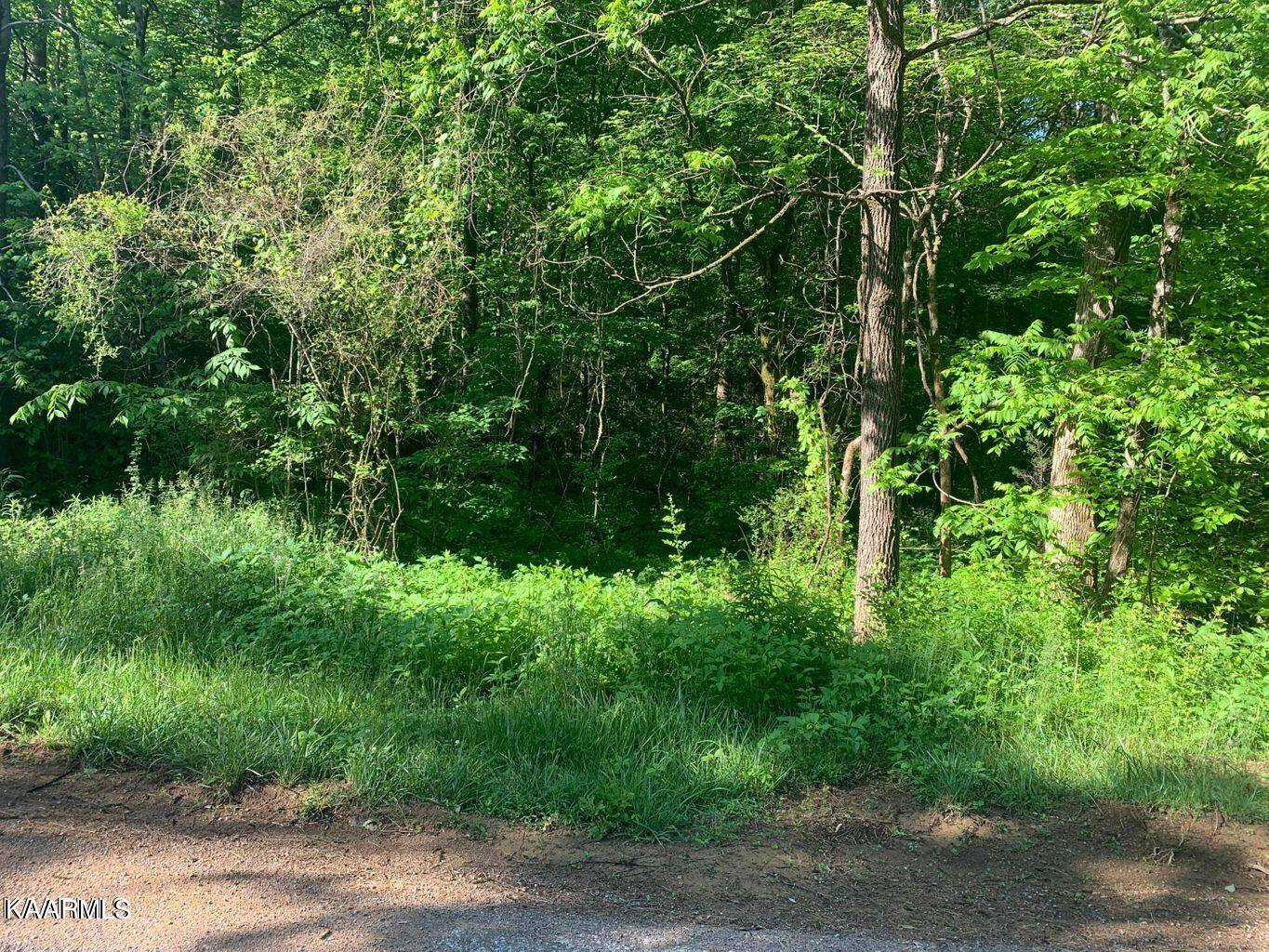 Tellico Plains, TN 37385,Mountain Rd