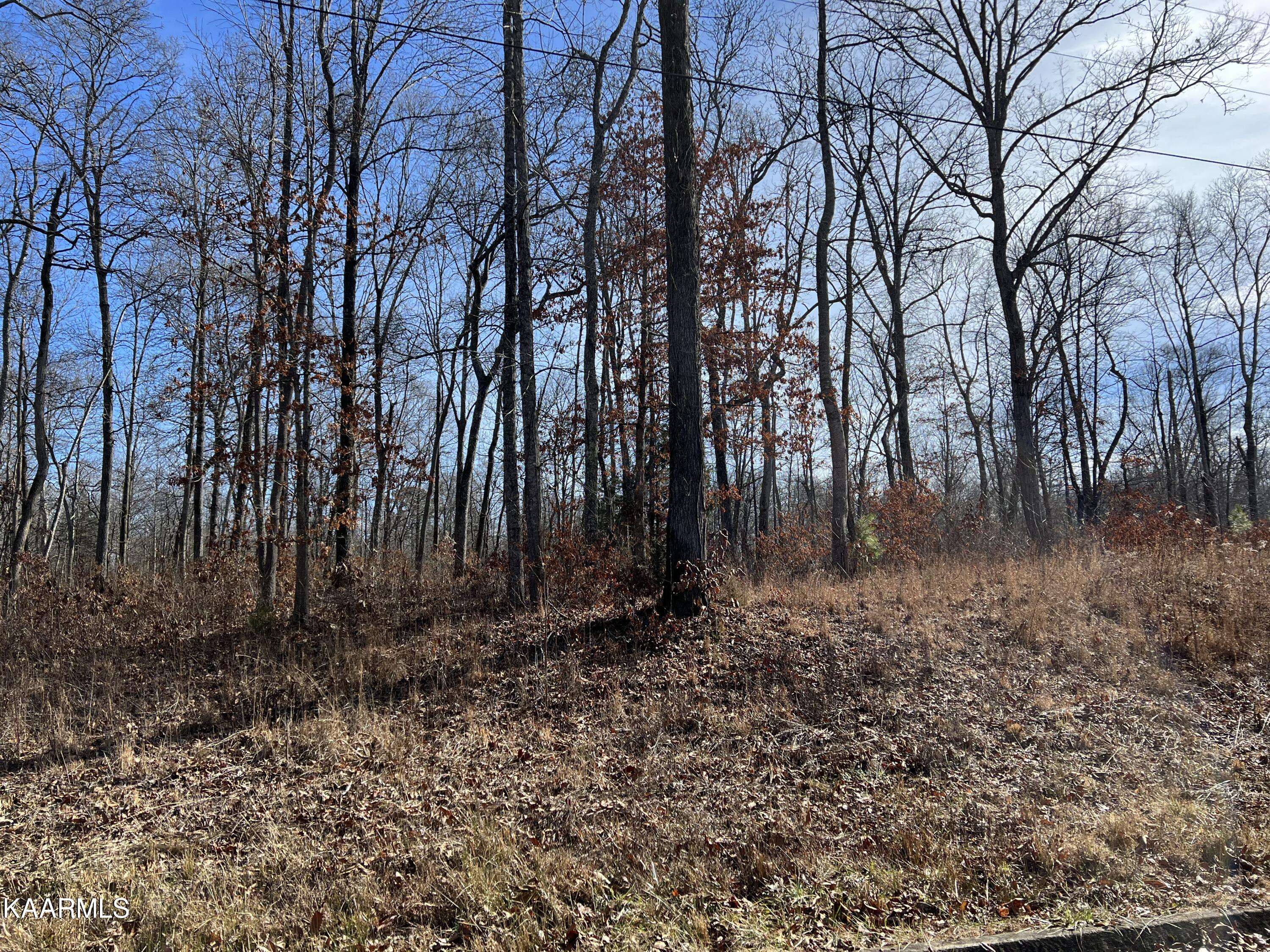 Dandridge, TN 37725,Lot 24 Tom Patterson Trail Tr