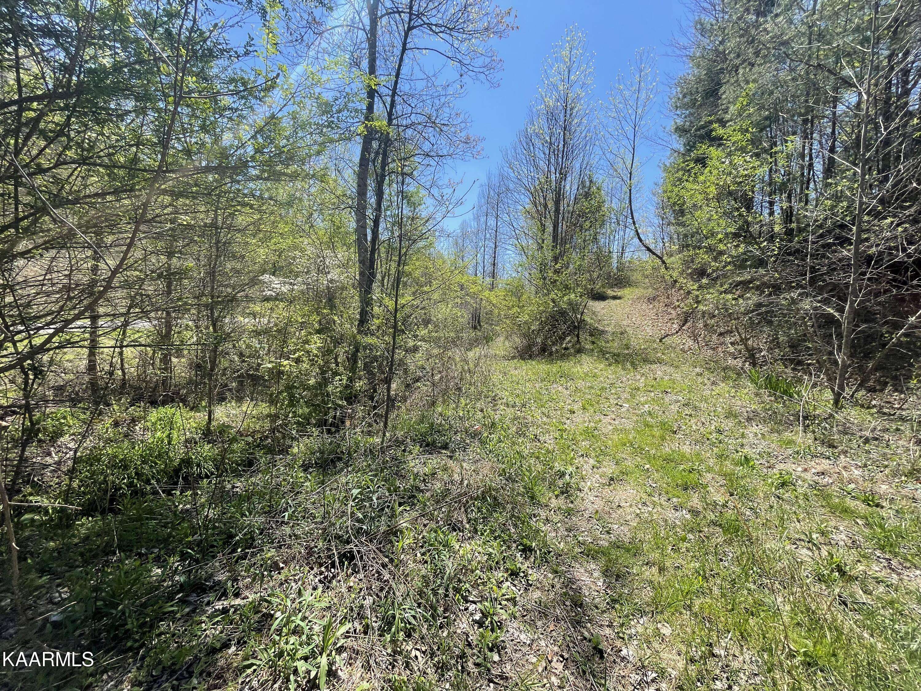 Tellico Plains, TN 37385,2 Cane Creek Mountain Rd