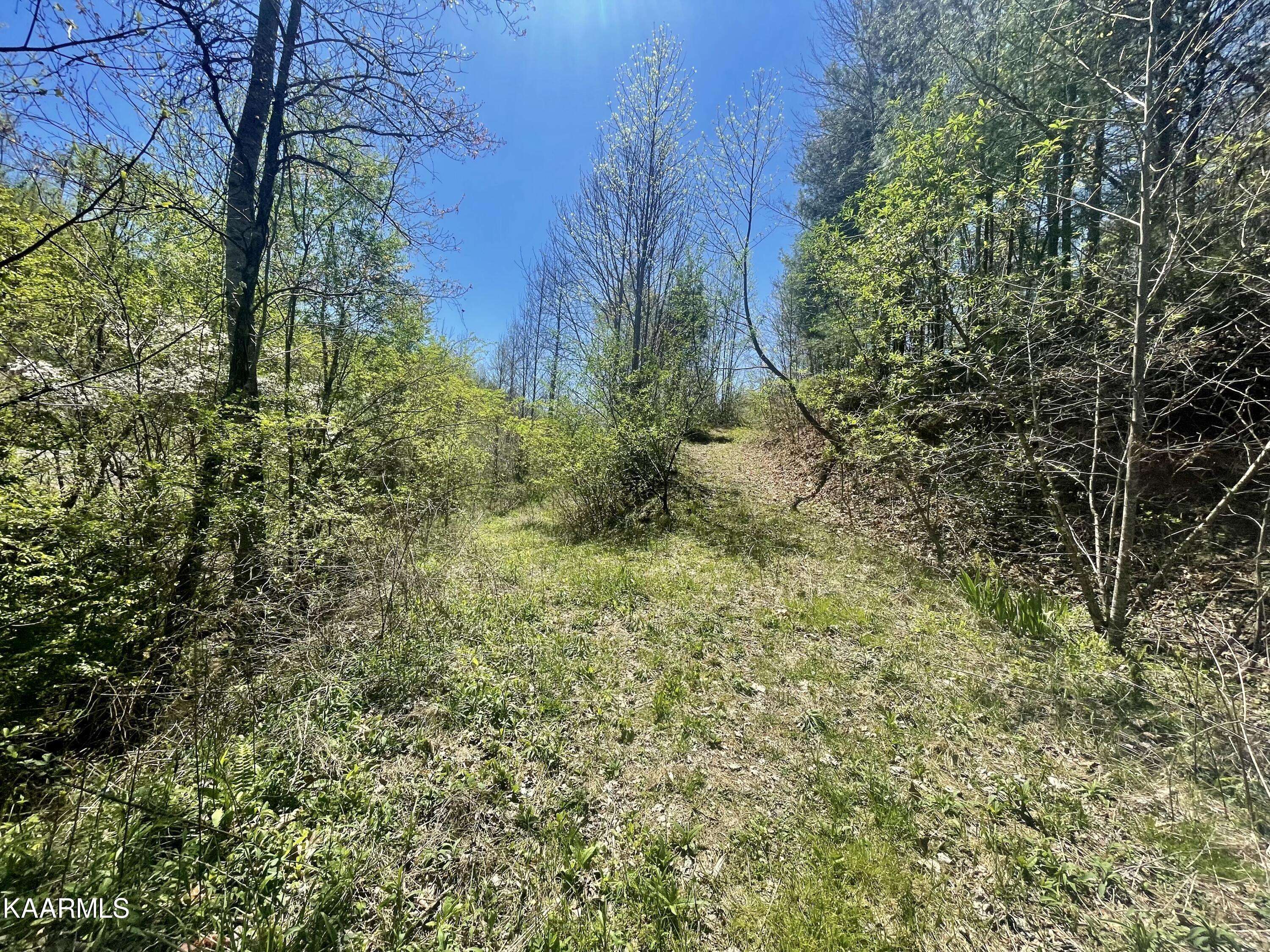 Tellico Plains, TN 37385,2 Cane Creek Mountain Rd