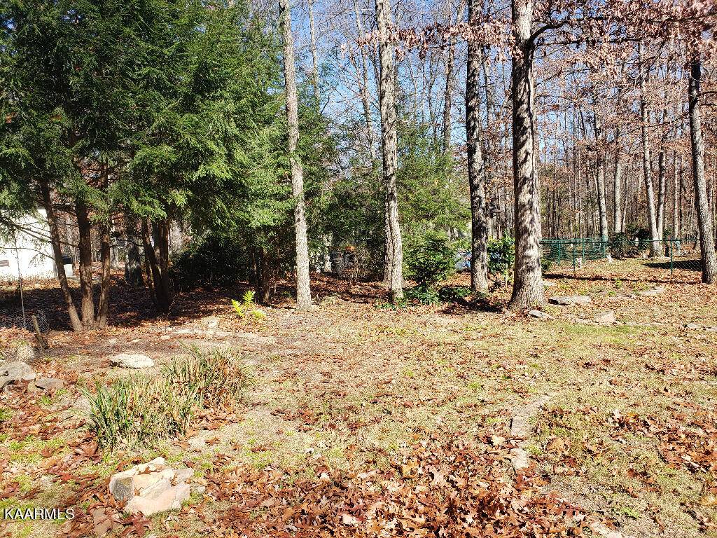 Fairfield Glade, TN 38558,112 Britton LN