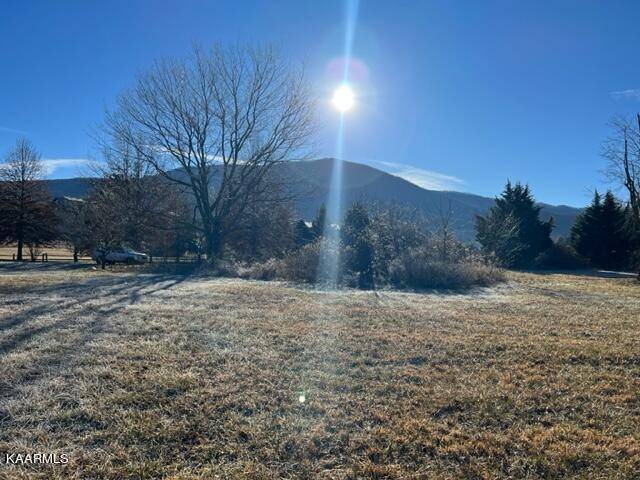 Sevierville, TN 37862,Lot 10 Cove Meadows Dr.