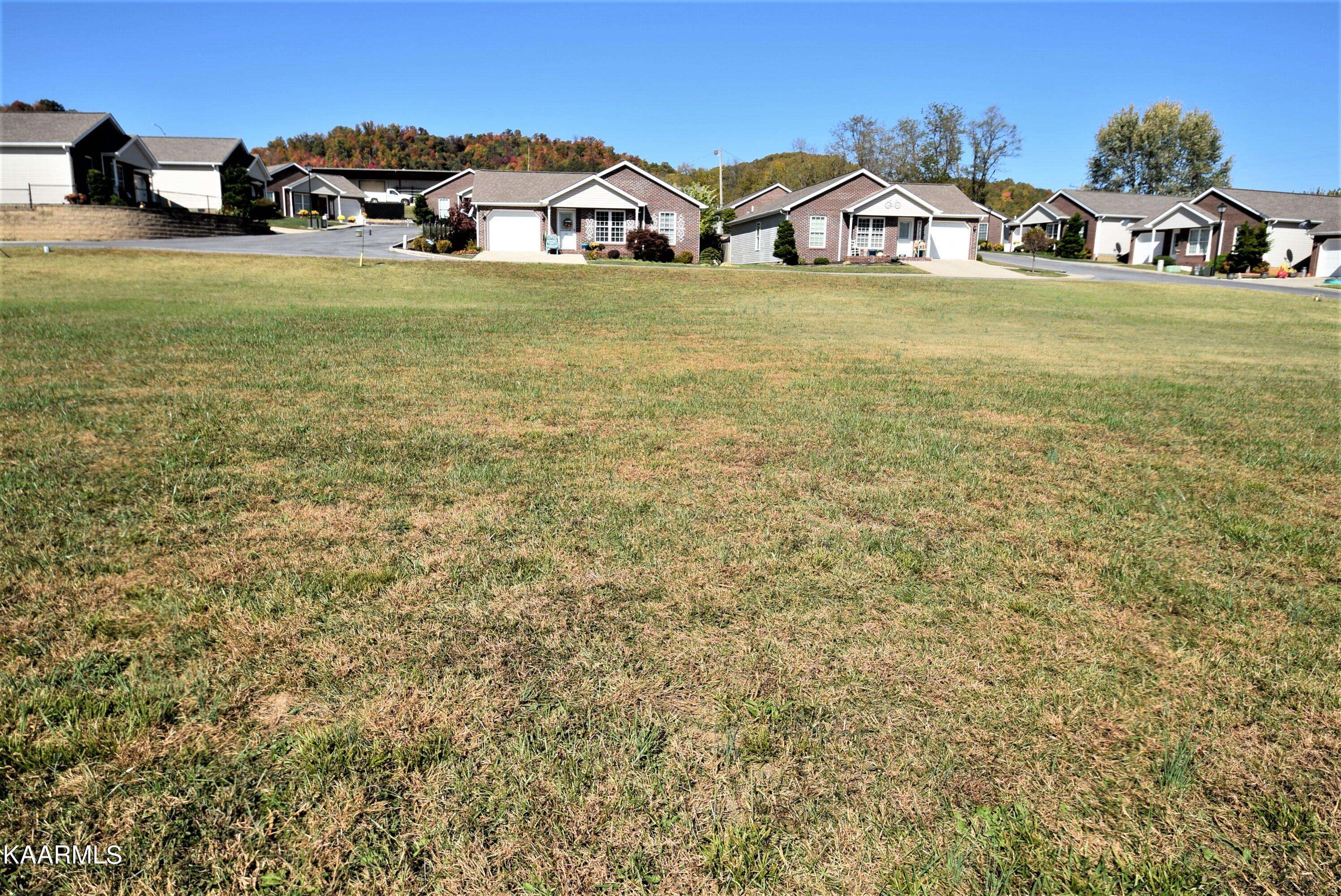 Rogersville, TN 37857,Lot #19 Park Blvd Cir