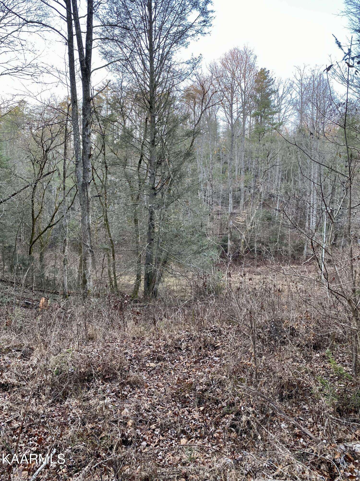 Tellico Plains, TN 37385,0 Nichols Branch Rd