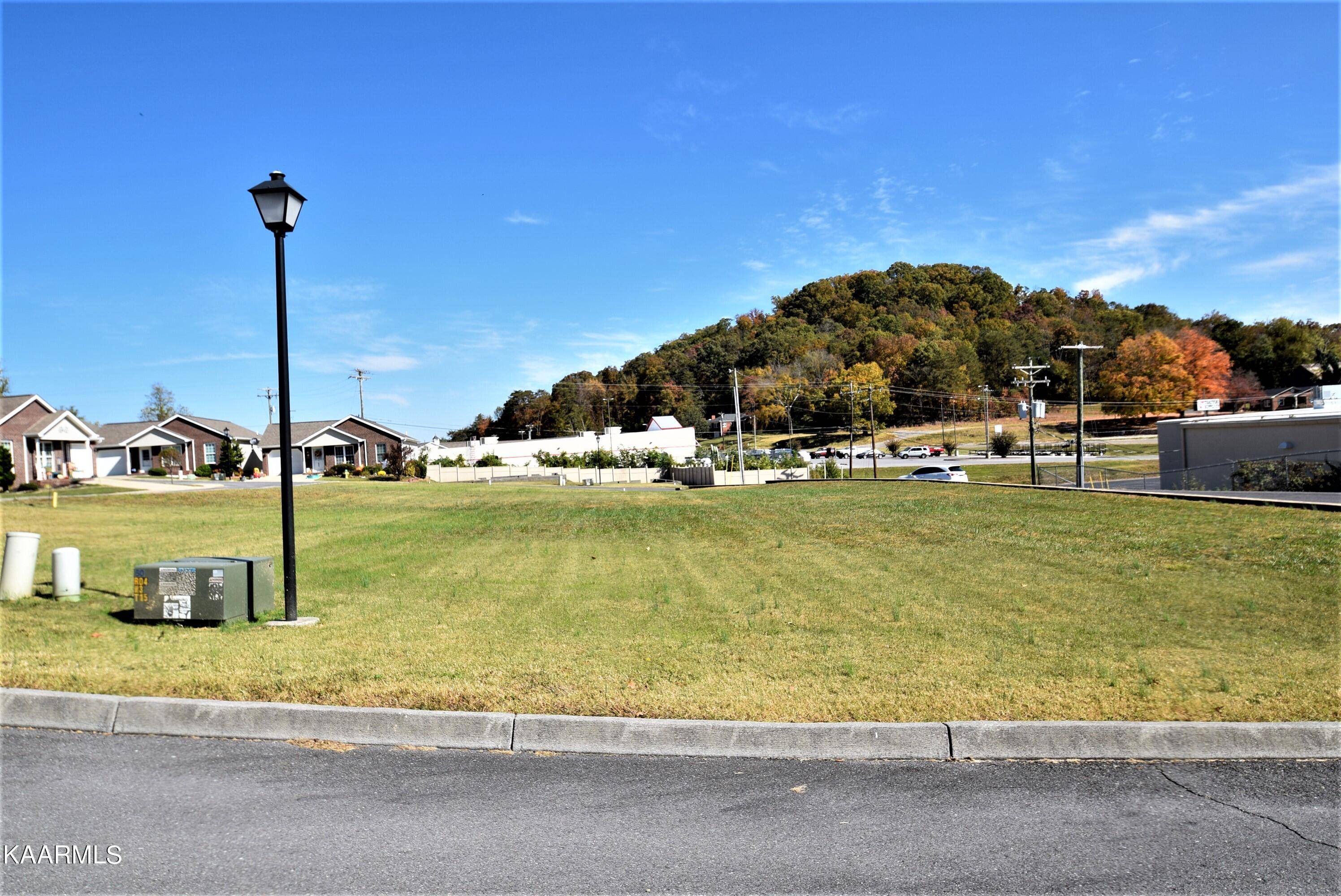 Rogersville, TN 37857,Lot #20 Park Blvd Cir