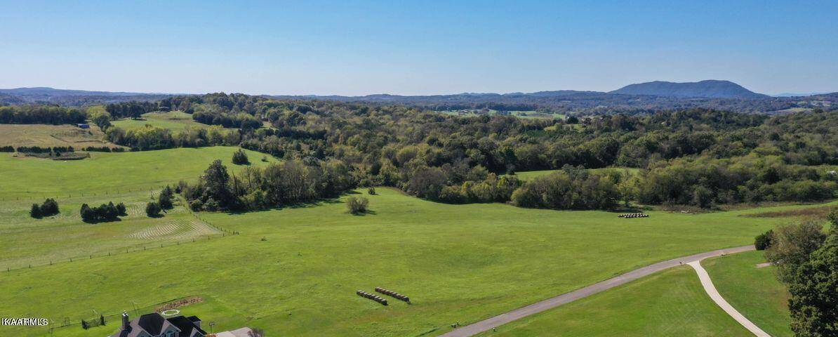 Blaine, TN 37709,Clifftop Road lot 29