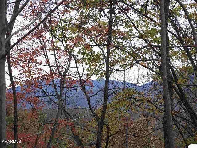 Gatlinburg, TN 37738,00 Scenic Trail