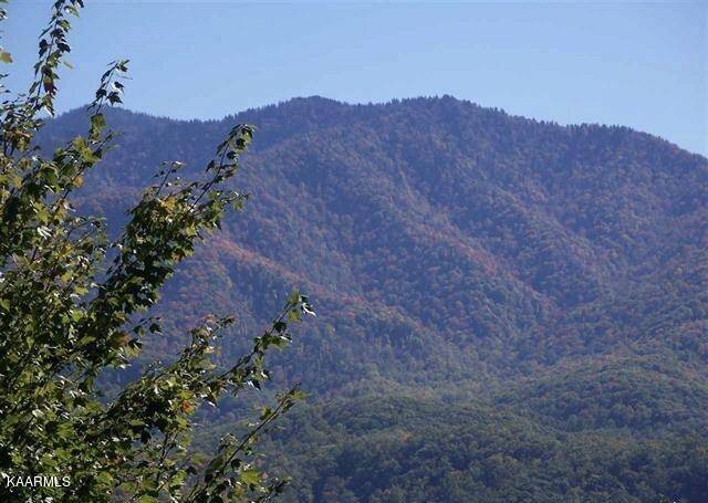 Gatlinburg, TN 37738,00 Scenic Trail