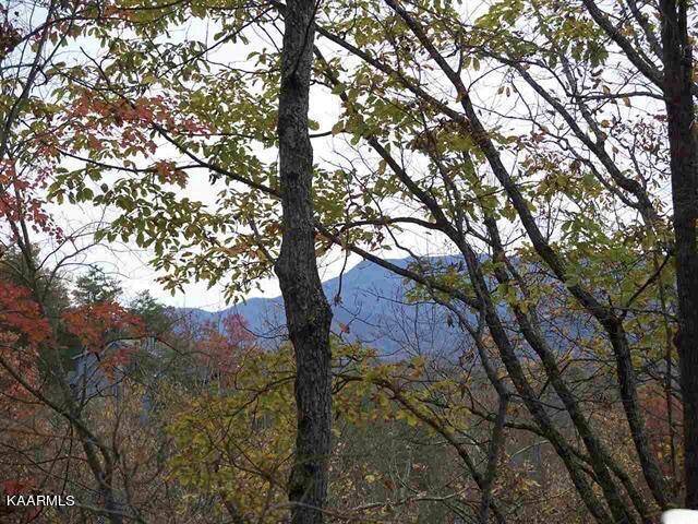 Gatlinburg, TN 37738,00 Scenic Trail