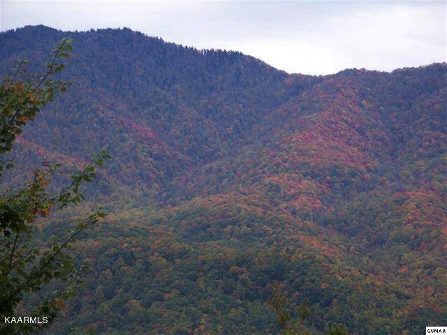 Gatlinburg, TN 37738,00 Scenic Trail