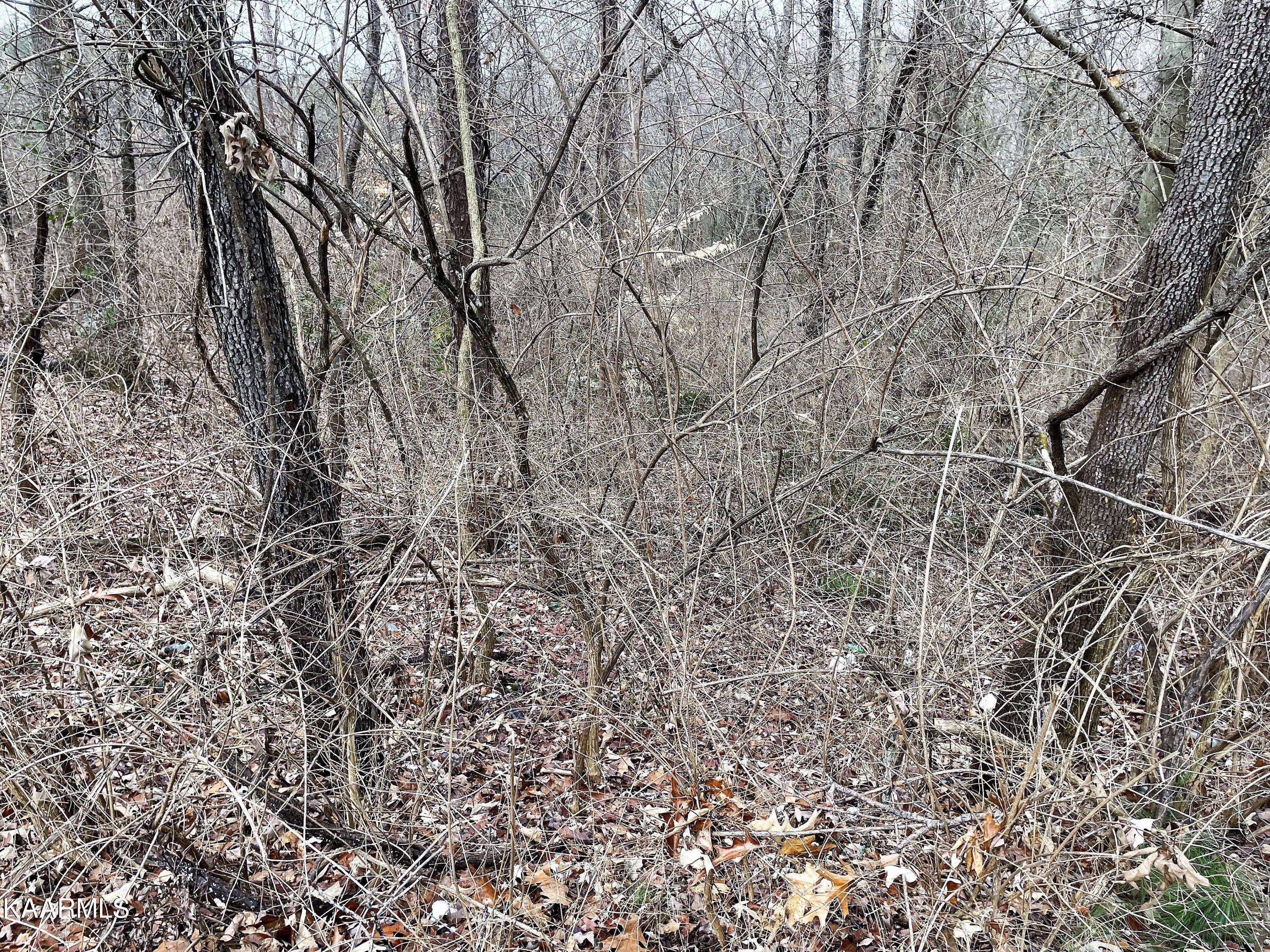 Morristown, TN 37814,Sherwood DR