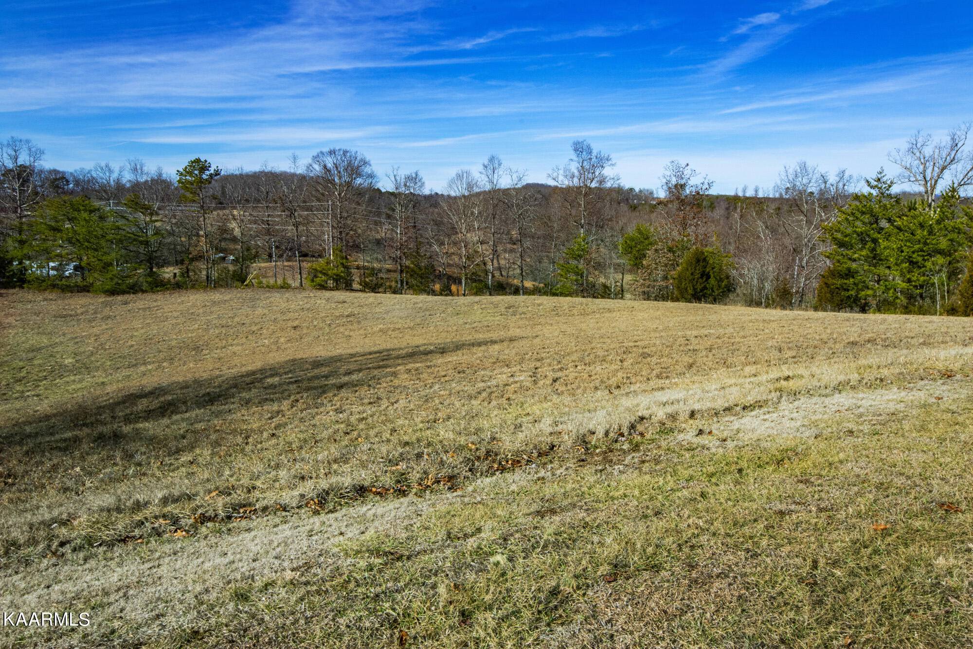 Rutledge, TN 37861,Woodstock DR