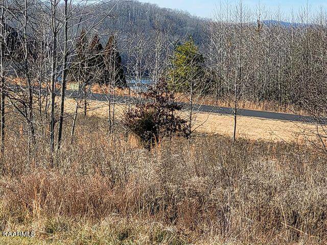 Rockwood, TN 37854,Lot 343 Water View DR