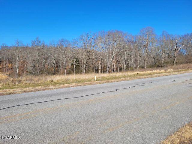 Rockwood, TN 37854,Lot 343 Water View DR