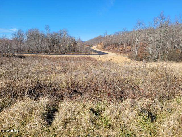 Rockwood, TN 37854,Lot 343 Water View DR