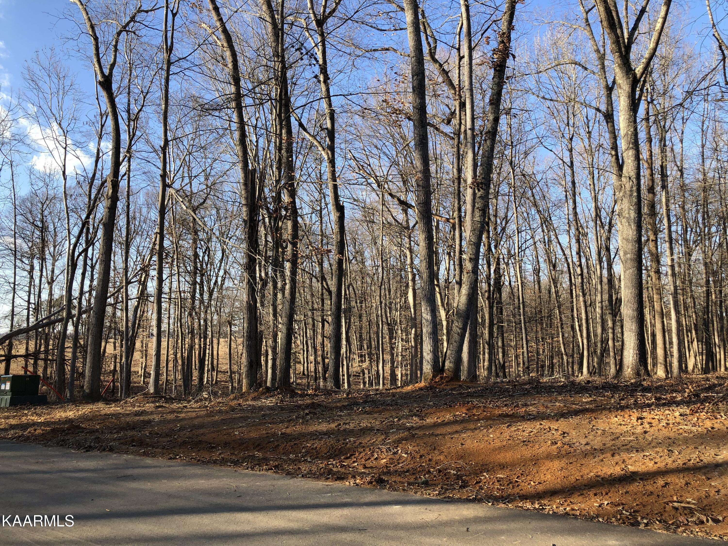 White Pine, TN 37890,Lot 23/24 Sunset Blvd