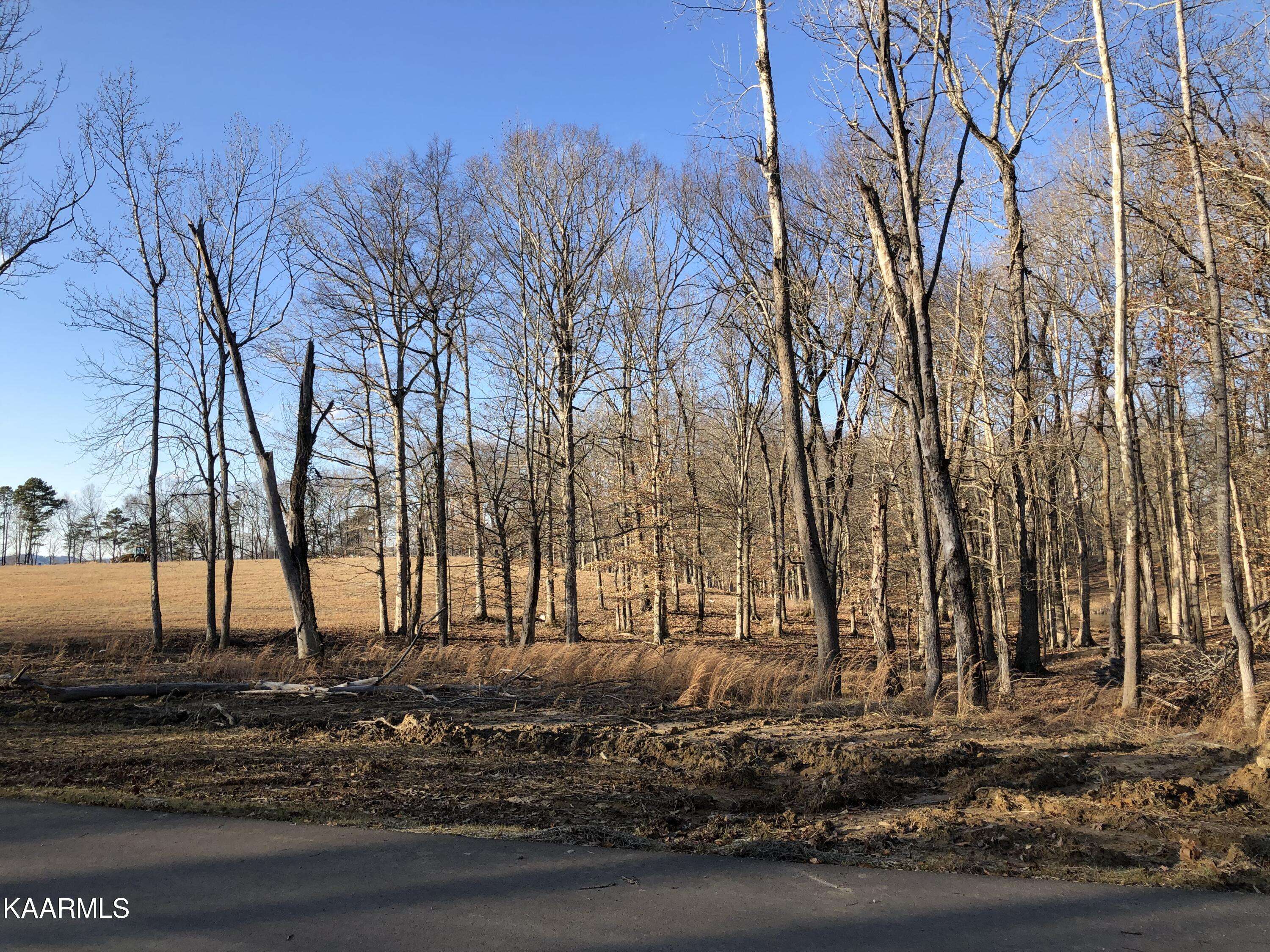 White Pine, TN 37890,Lot 23/24 Sunset Blvd