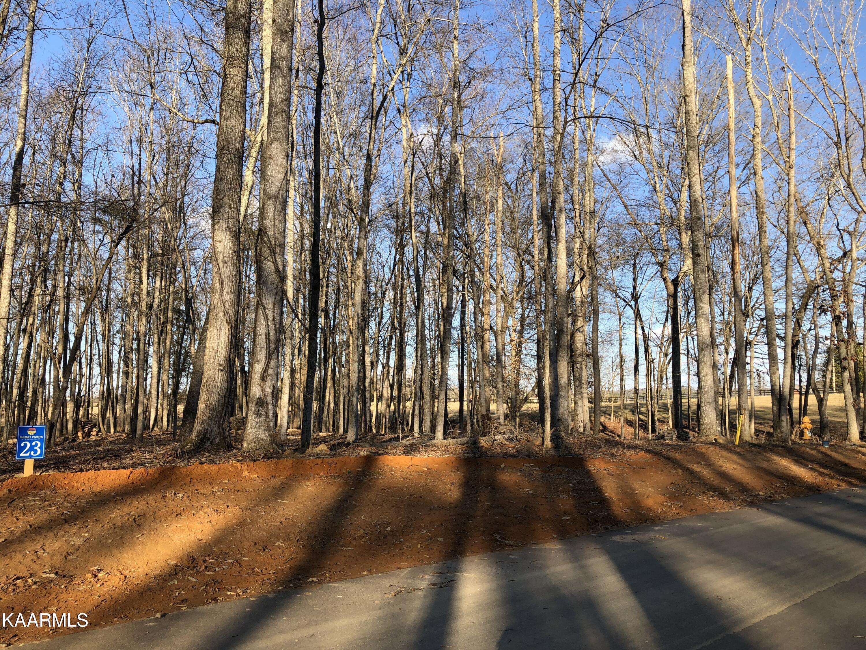 White Pine, TN 37890,Lot 23/24 Sunset Blvd