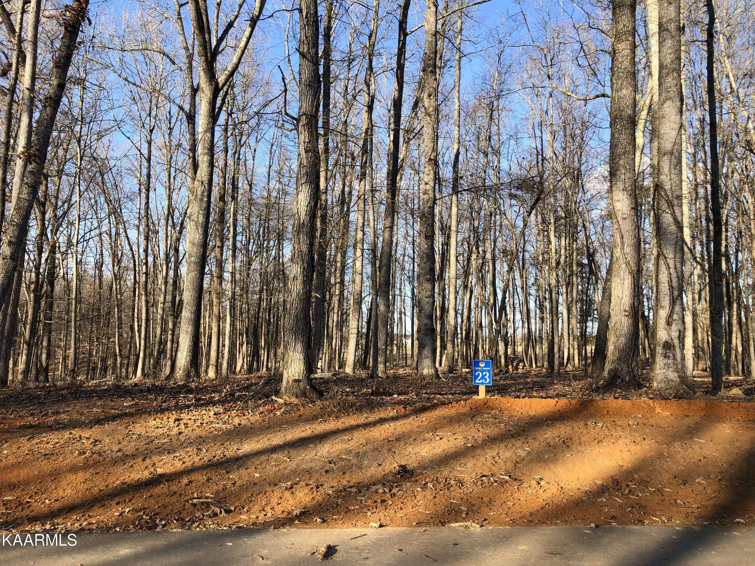 White Pine, TN 37890,Lot 23/24 Sunset Blvd