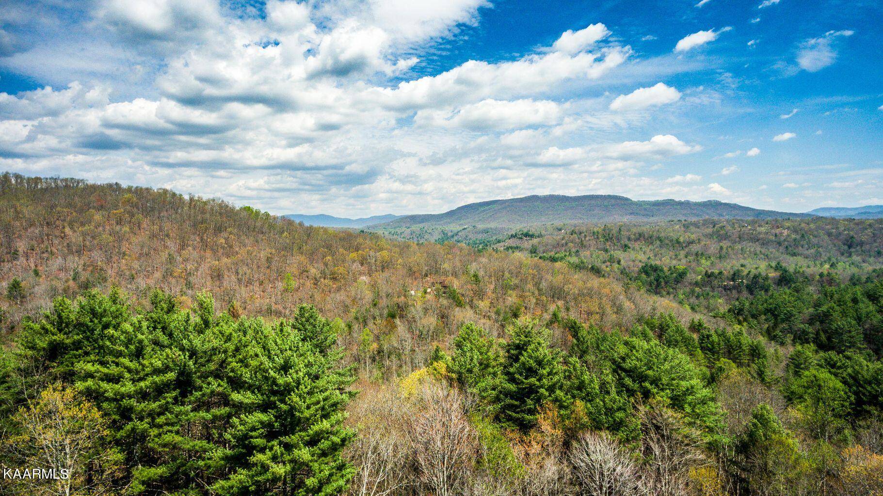 Harriman, TN 37748,Green Ridge Trails (Lot 41)