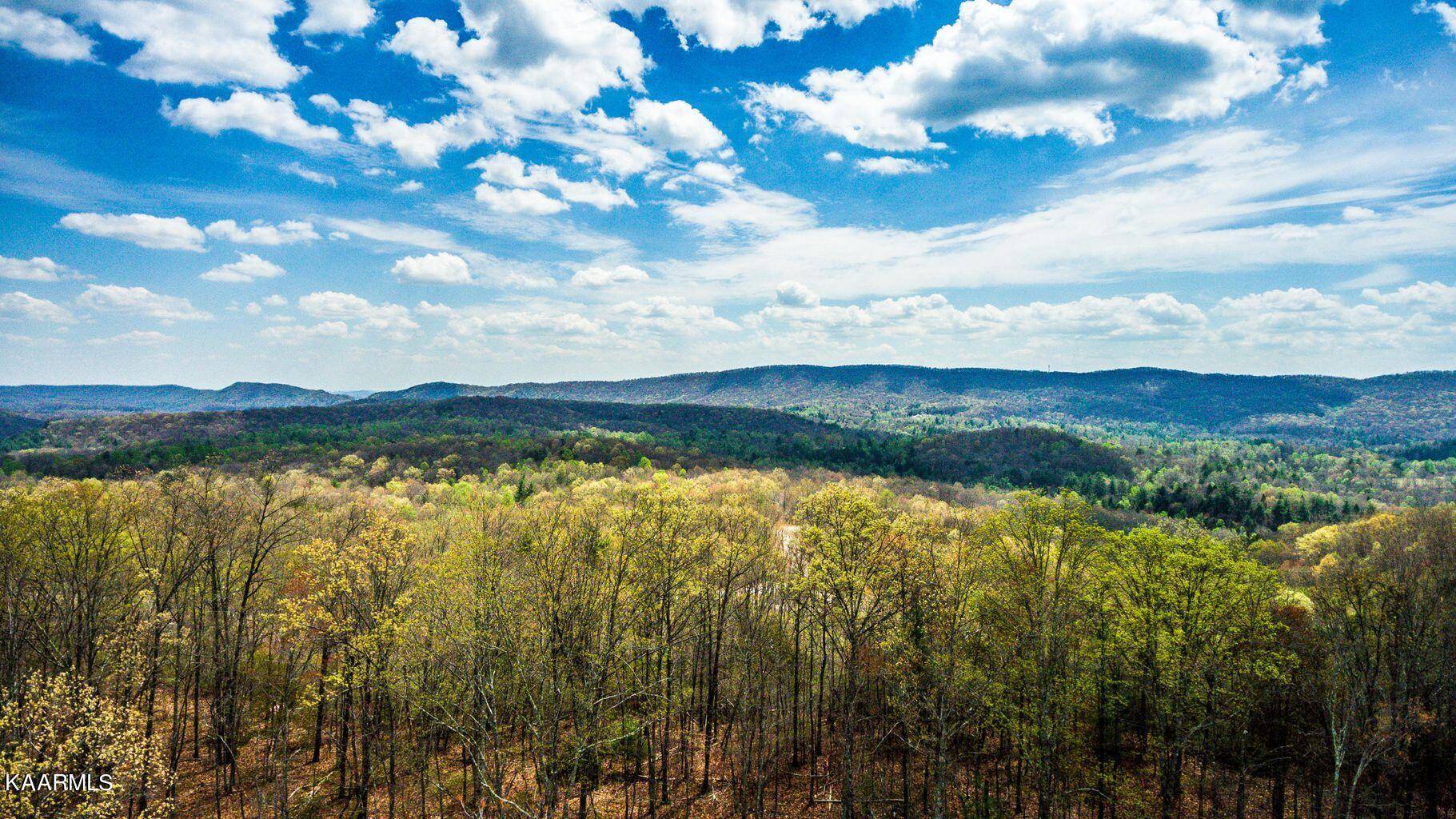 Harriman, TN 37748,Green Ridge Trails (Lot 41)