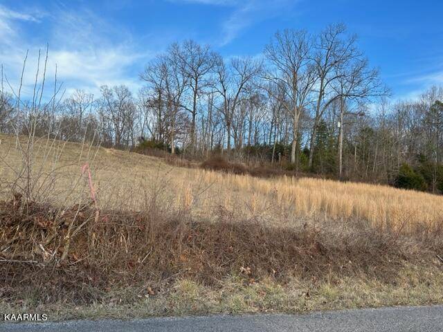 Speedwell, TN 37870,Robertson Hill Rd Rd