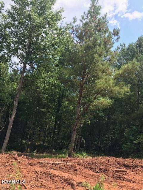 Madisonville, TN 37354,Lot 31 Ballplay Rd