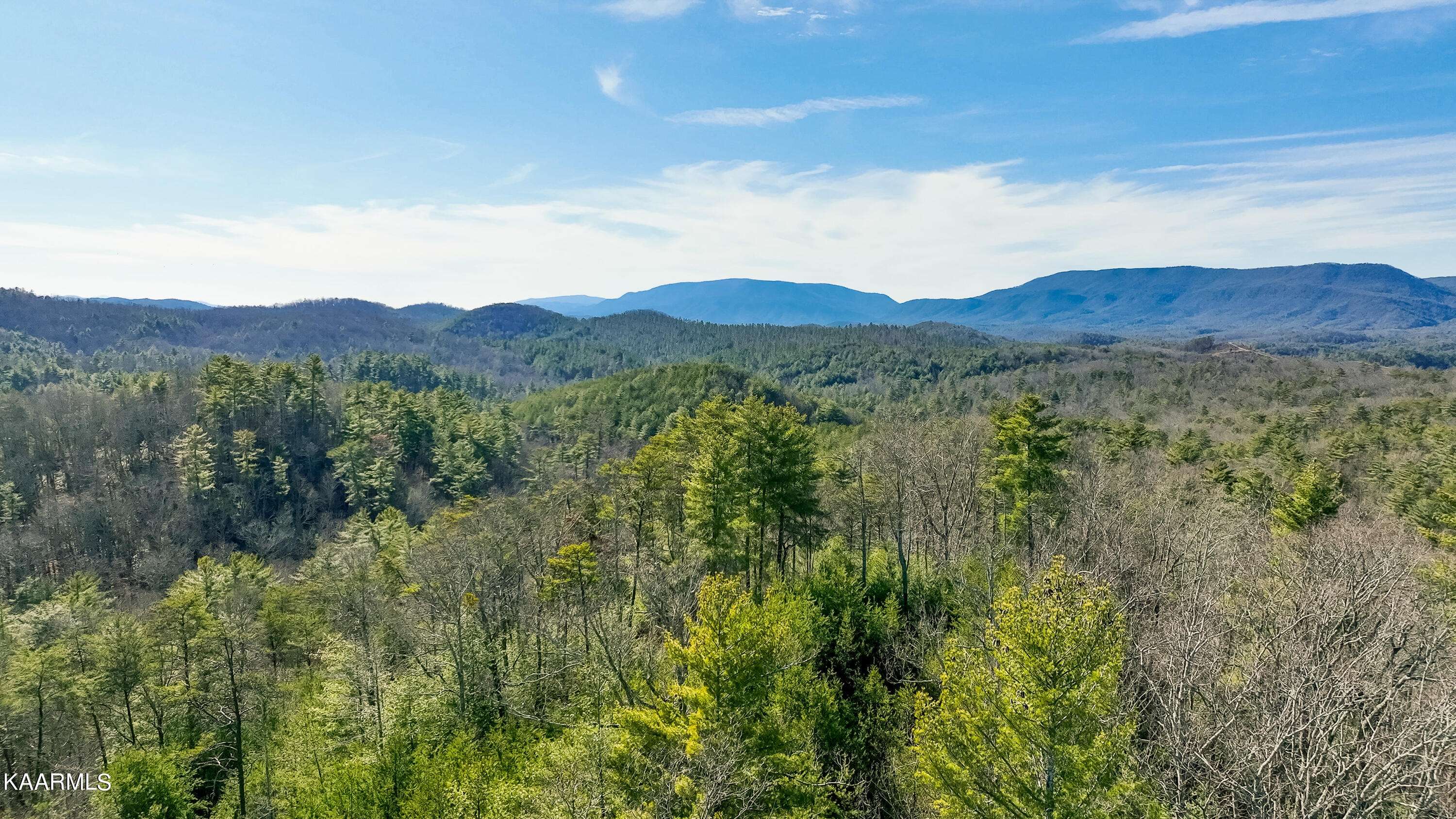 Tellico Plains, TN 37385,580 Ivy Trail