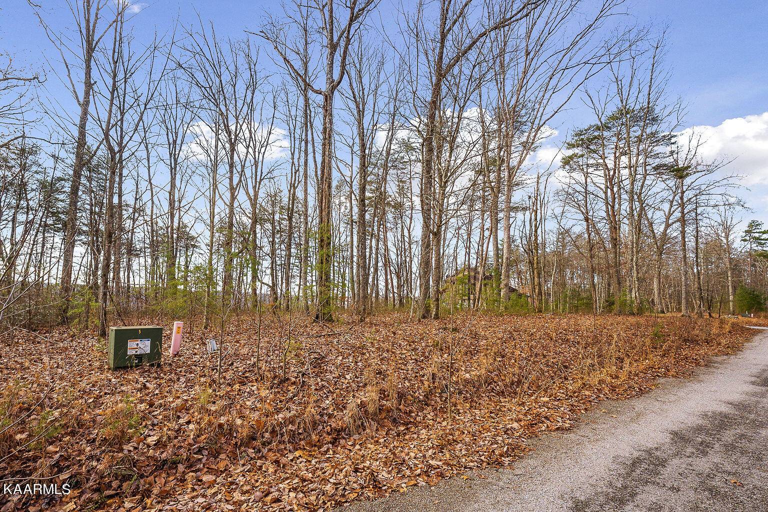 Spencer, TN 38585,Lot 14 Eagles Bluff CIR