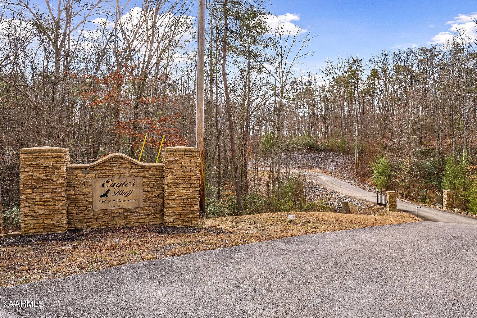 Spencer, TN 38585,Lot 14 Eagles Bluff CIR