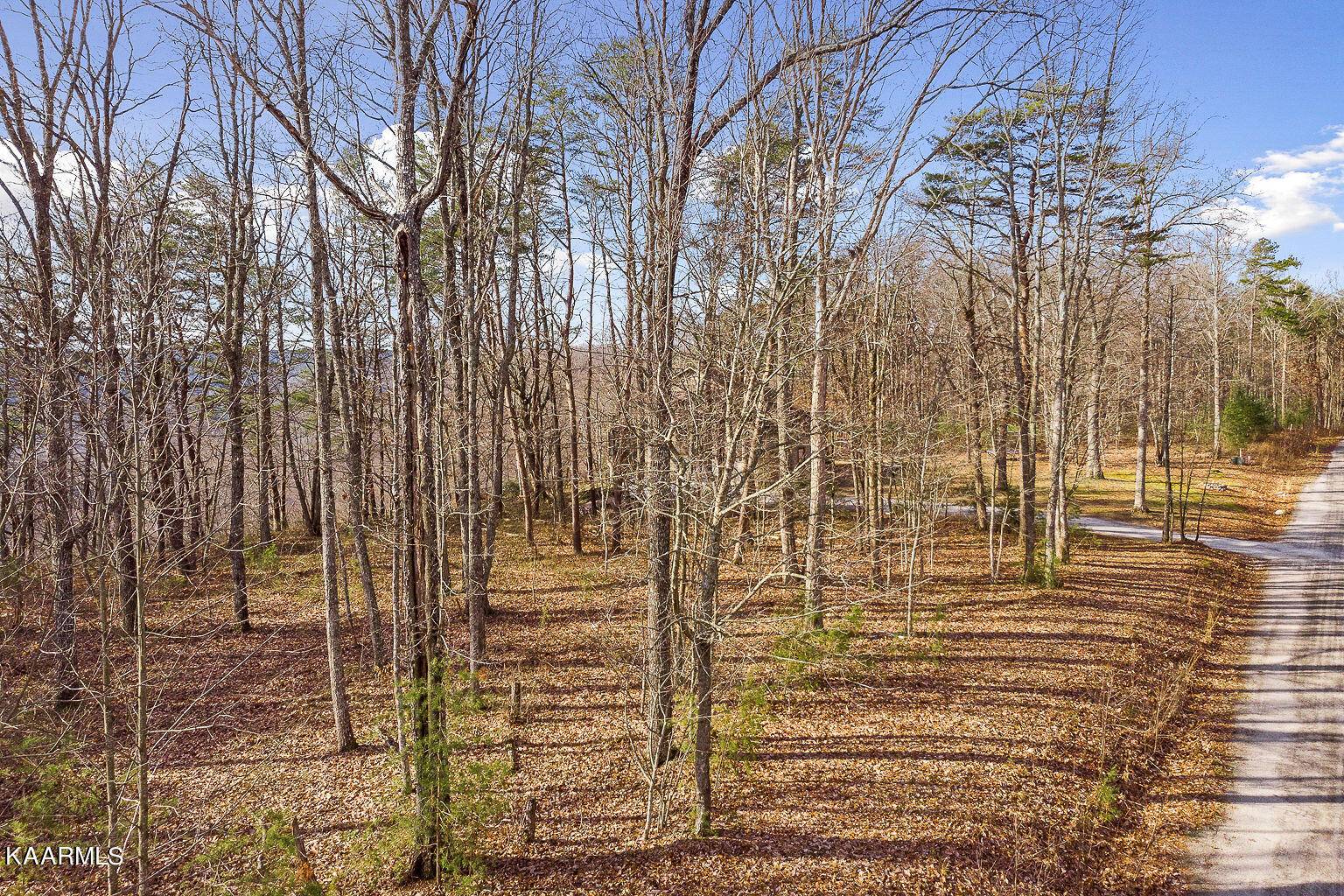 Spencer, TN 38585,Lot 14 Eagles Bluff CIR