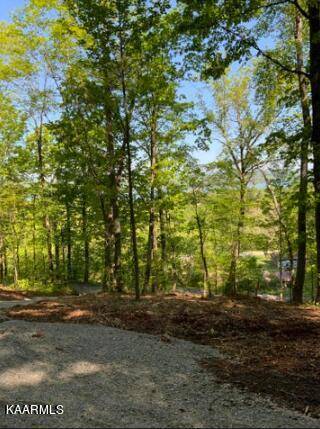 Kingston, TN 37763,Lot 231R Sunset View DR