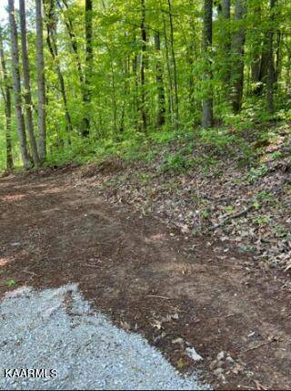 Kingston, TN 37763,Lot 231R Sunset View DR