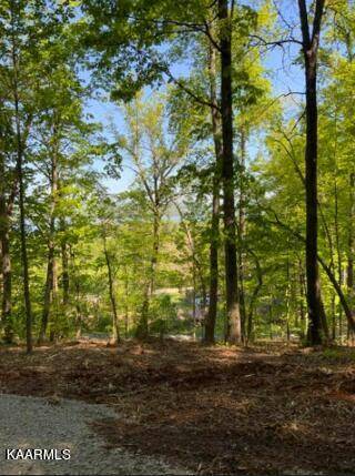 Kingston, TN 37763,Lot 231R Sunset View DR