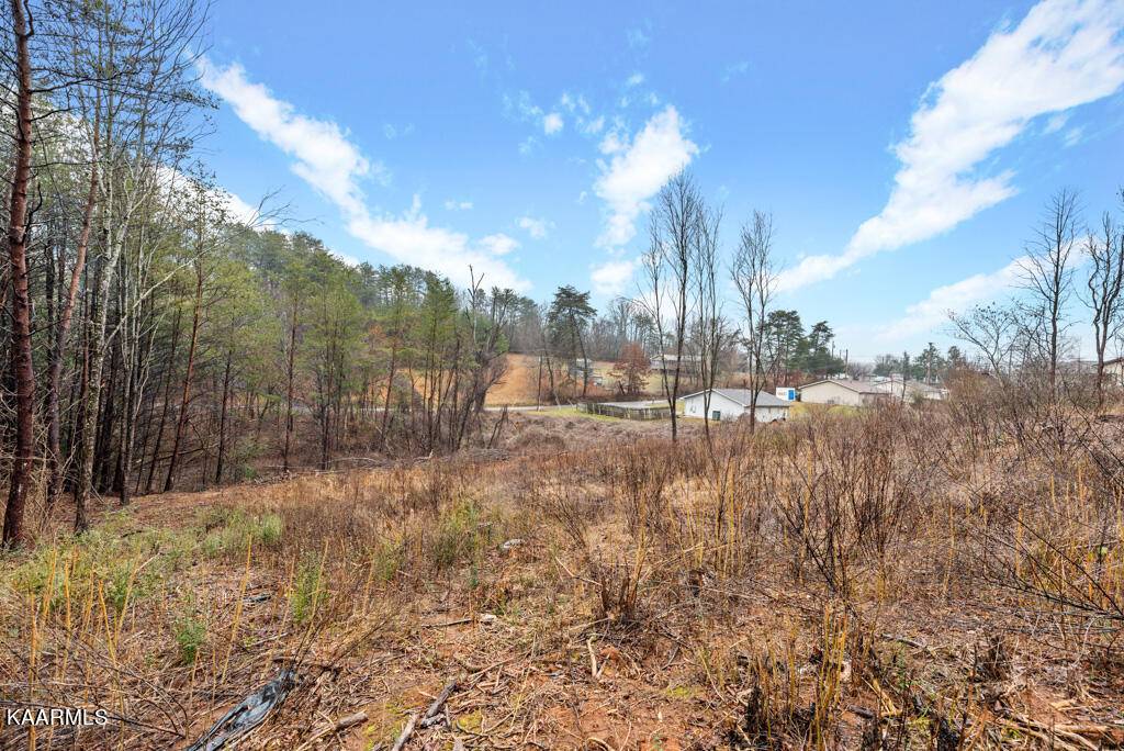 Maryville, TN 37803,Lot 101B1 Harrington CT