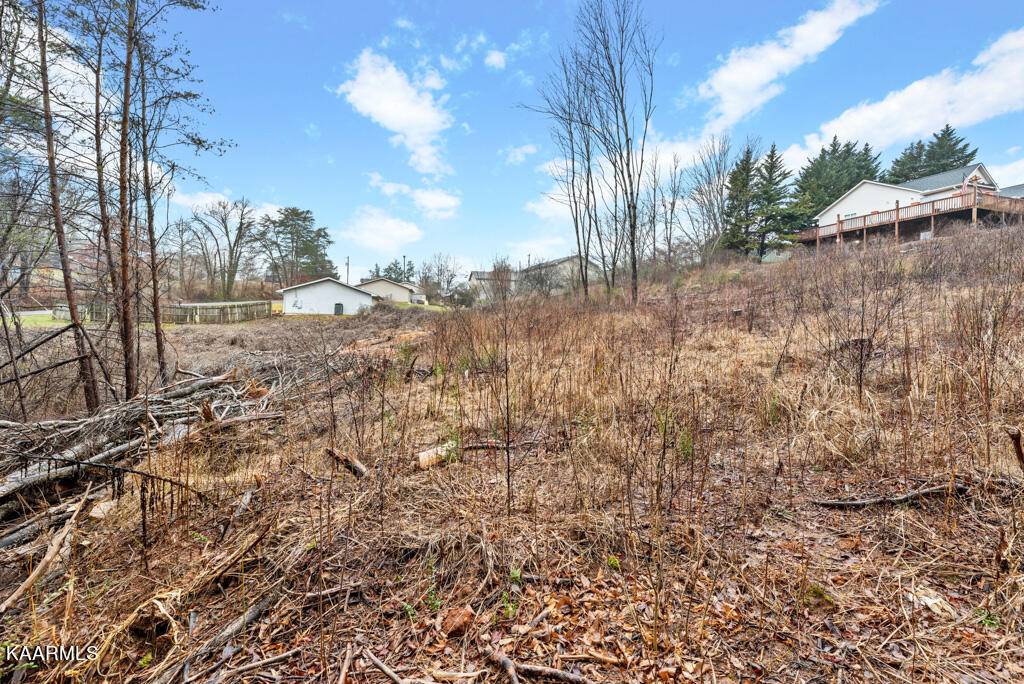 Maryville, TN 37803,Lot 101B1 Harrington CT