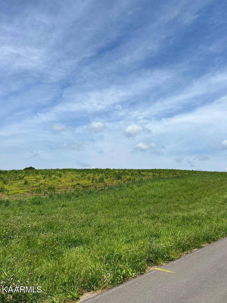 Rogersville, TN 37857,Lot 12 Meadow View Rd