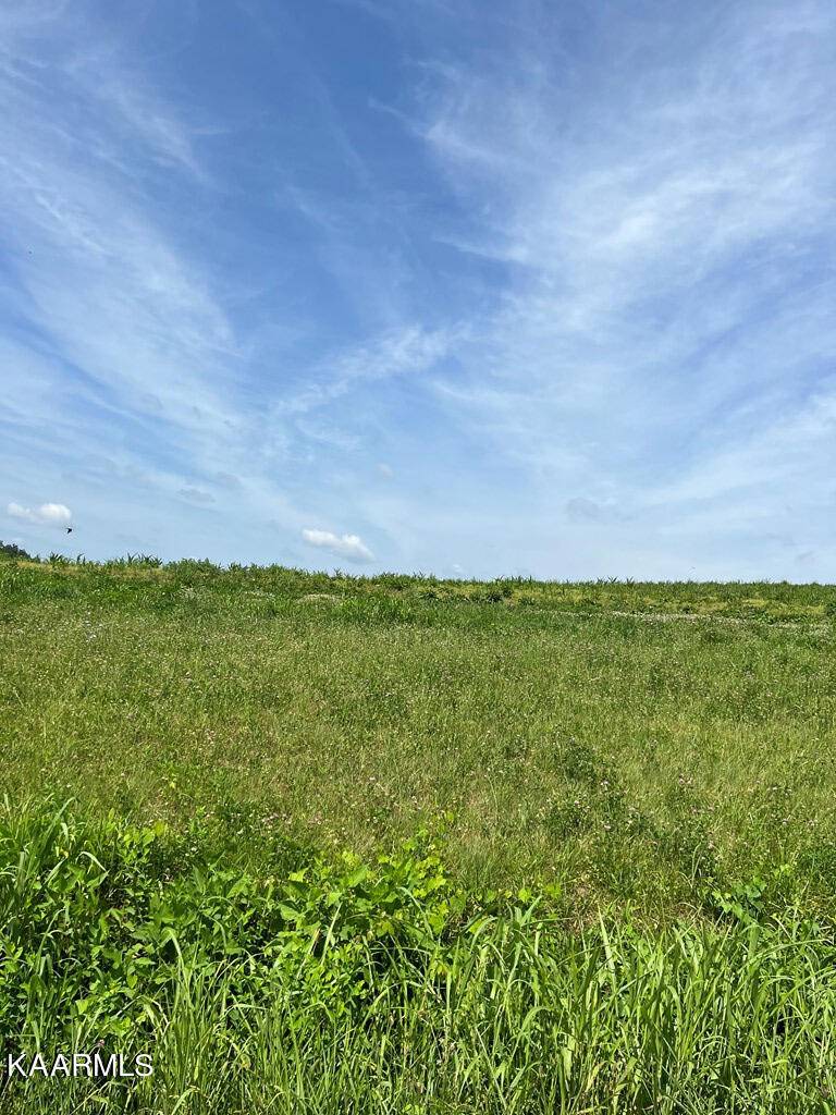 Rogersville, TN 37857,Lot 12 Meadow View Rd