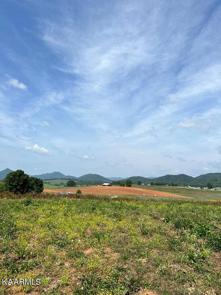 Rogersville, TN 37857,Lot 12 Meadow View Rd