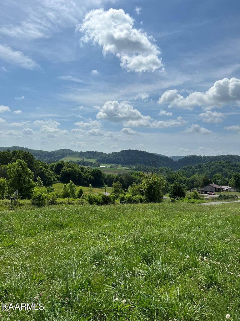 Rogersville, TN 37857,Lot 12 Meadow View Rd