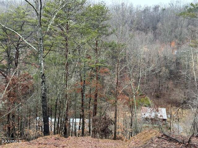 Andersonville, TN 37705,217 Lone Mountain Rd