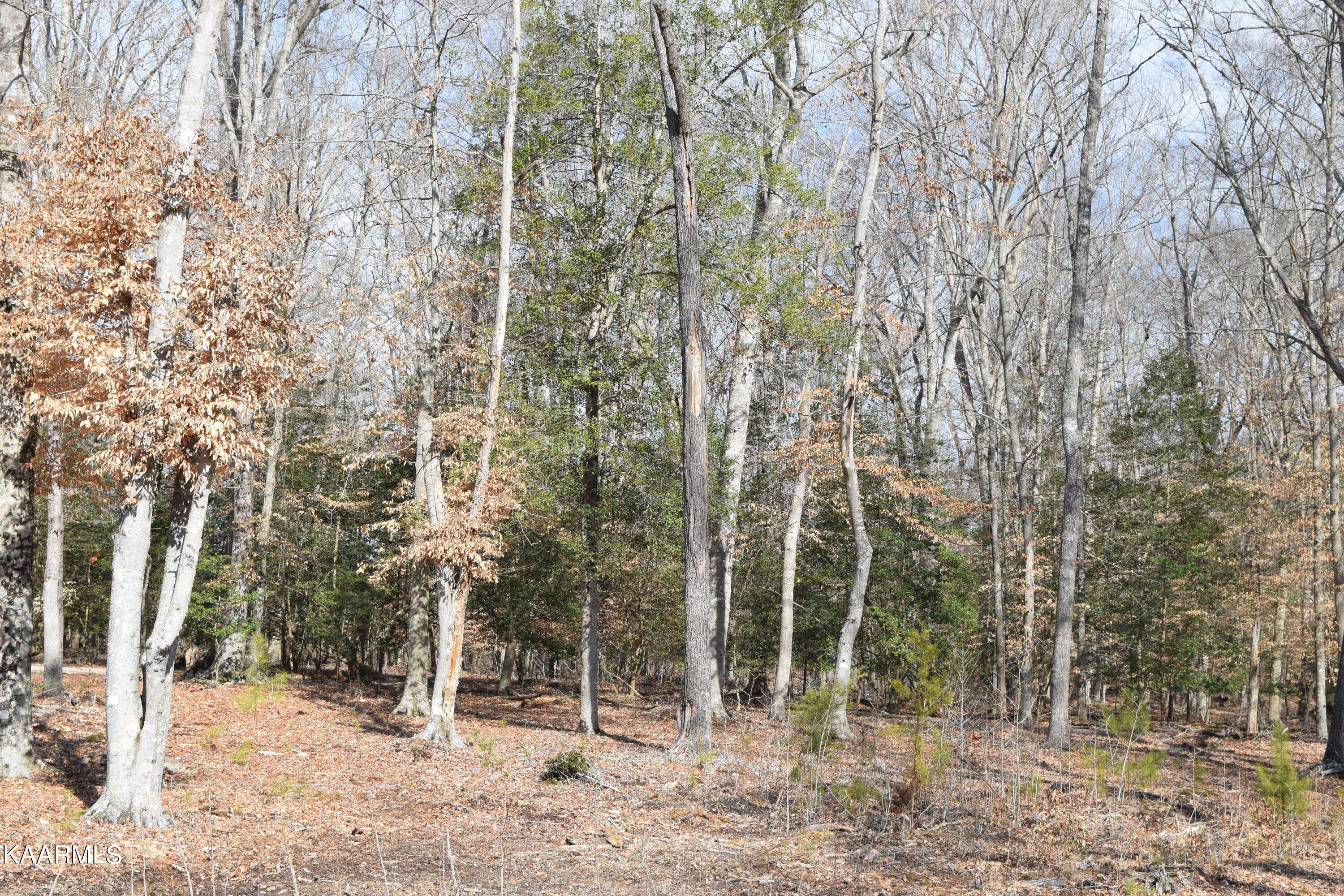 Dandridge, TN 37725,lot 13 Peaceful PT