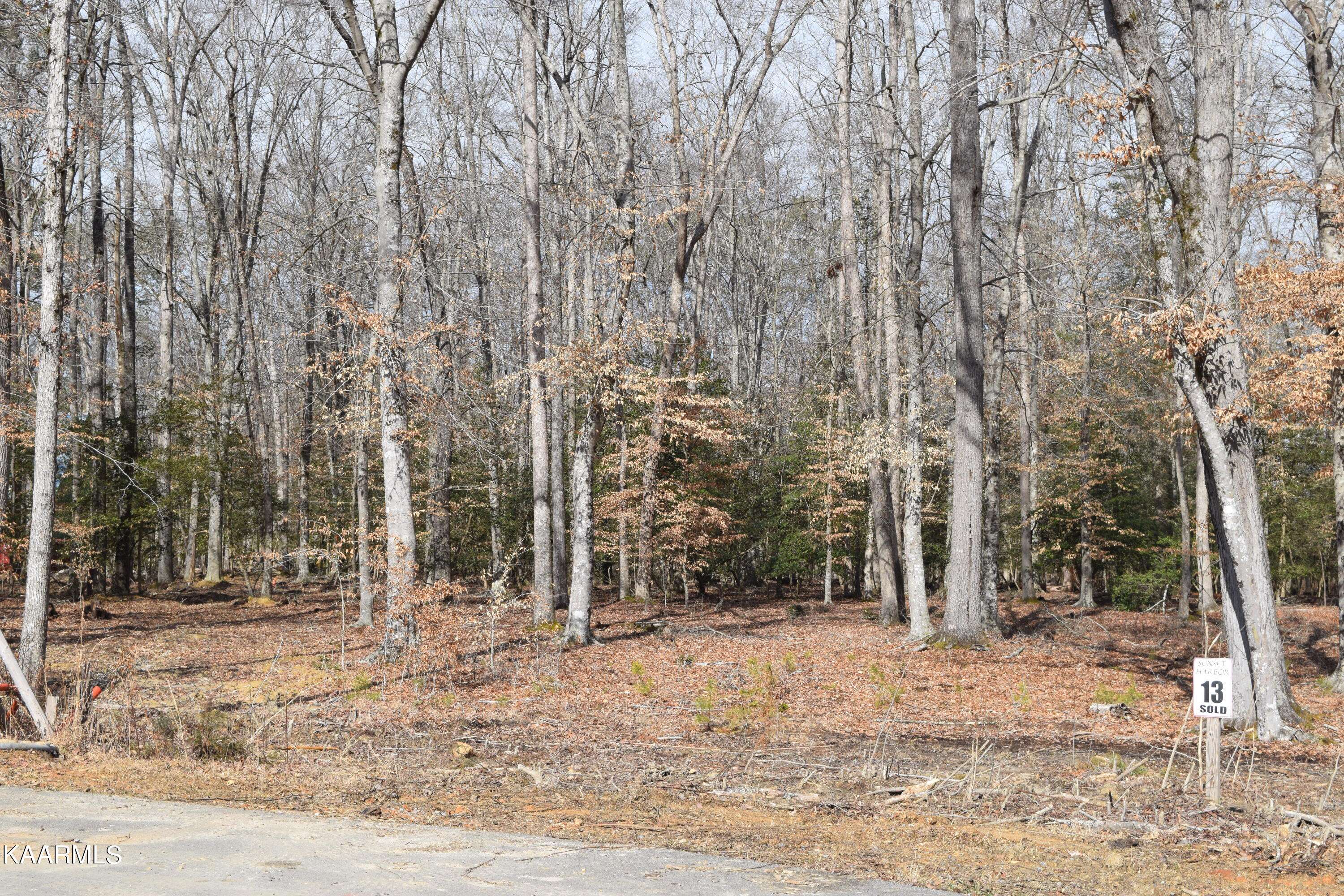 Dandridge, TN 37725,lot 13 Peaceful PT