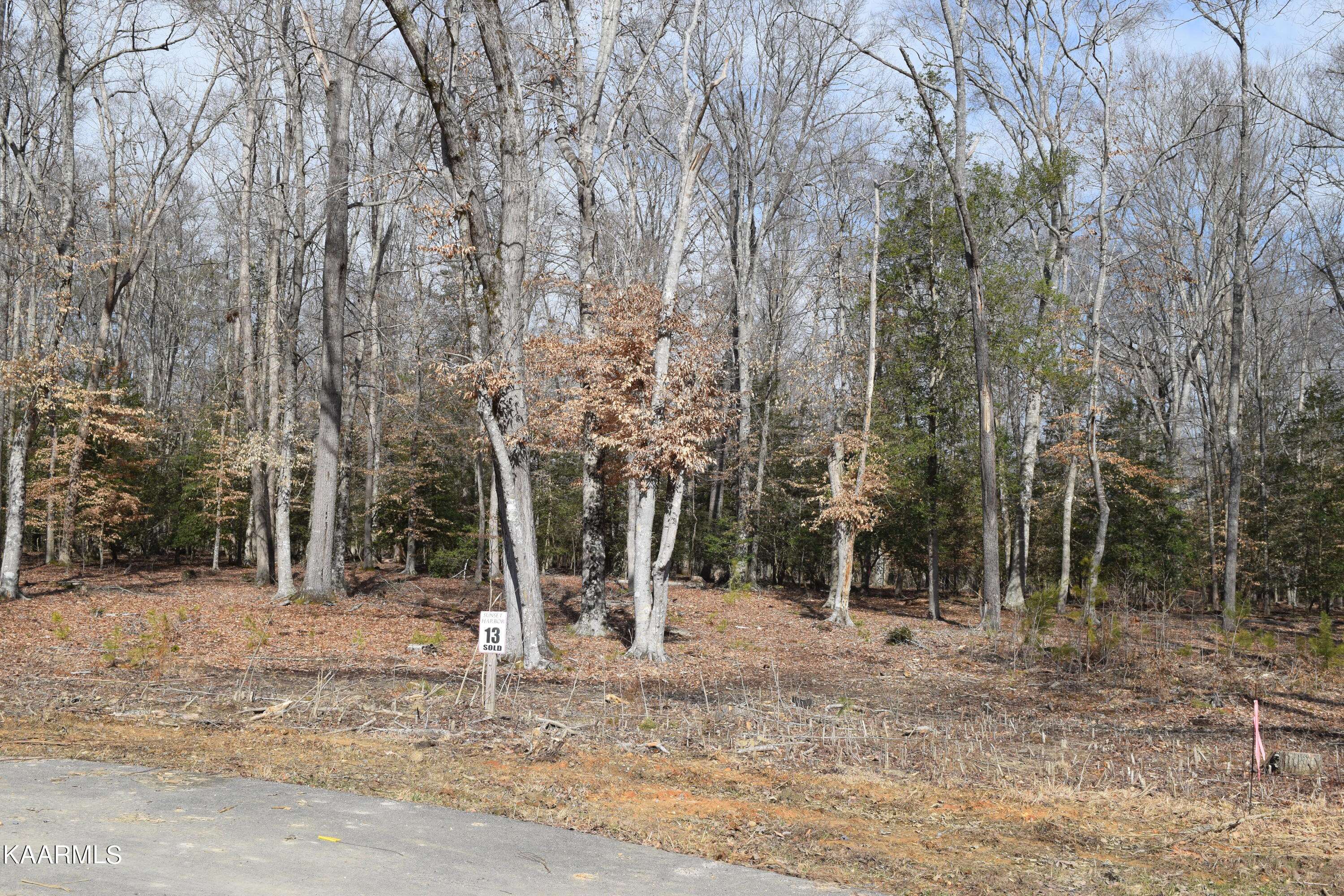 Dandridge, TN 37725,lot 13 Peaceful PT