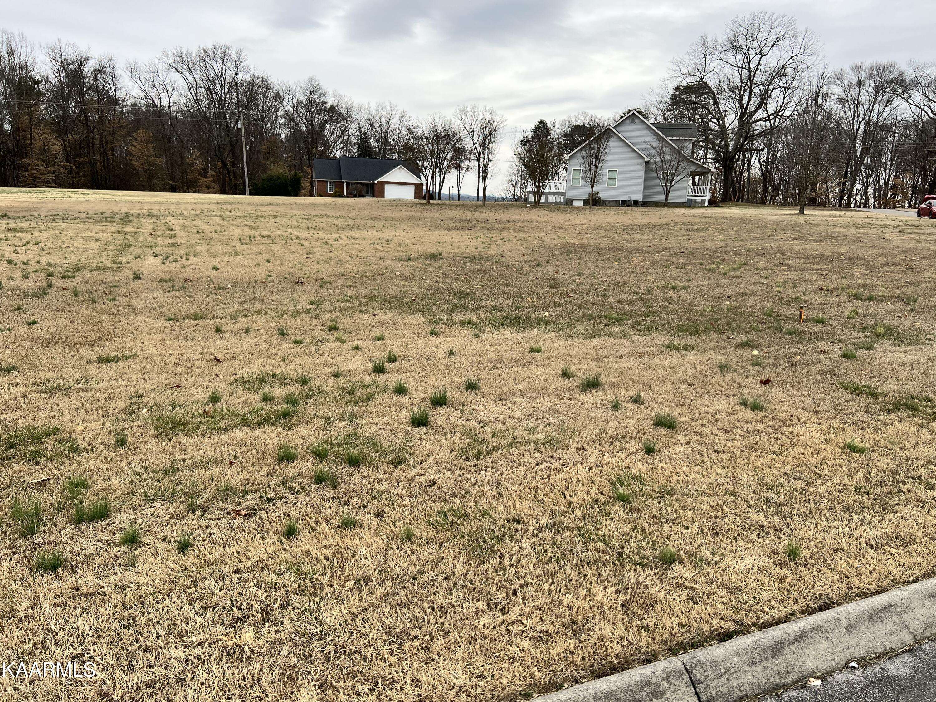 Baneberry, TN 37890,Lot 21 Horizon DR