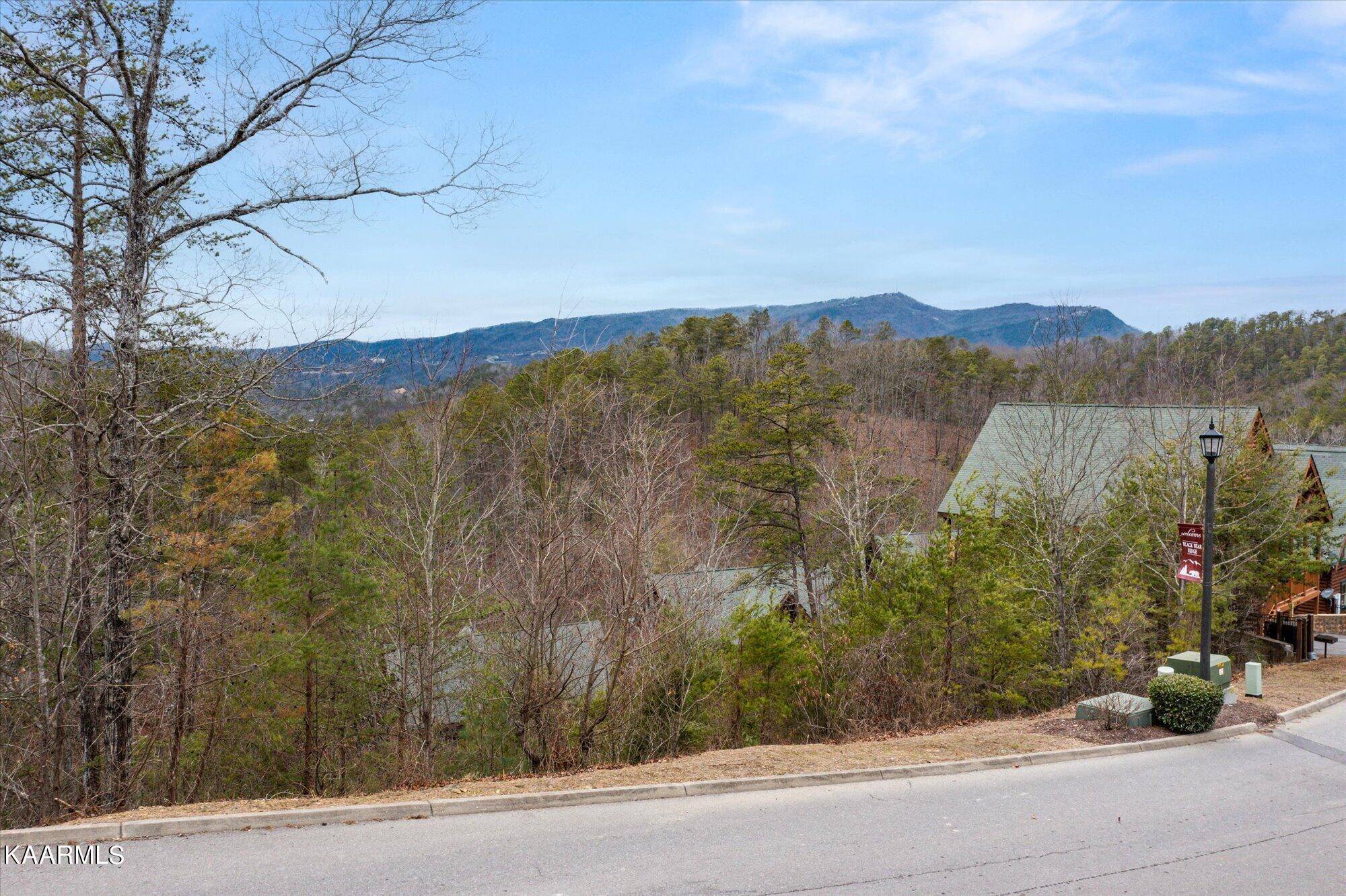 Sevierville, TN 37862,1033 Black Bear Cub WAY