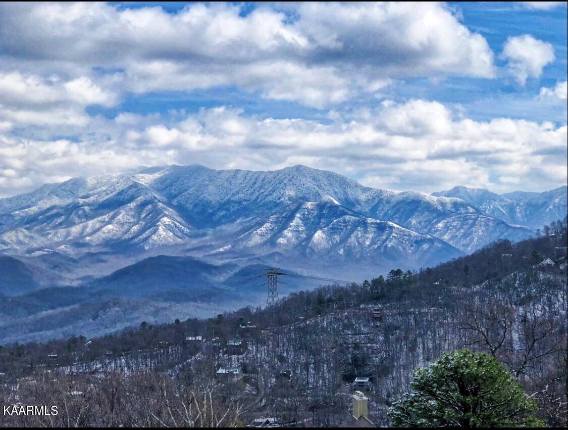 Gatlinburg, TN 37738,1260 Ski View DR #8107