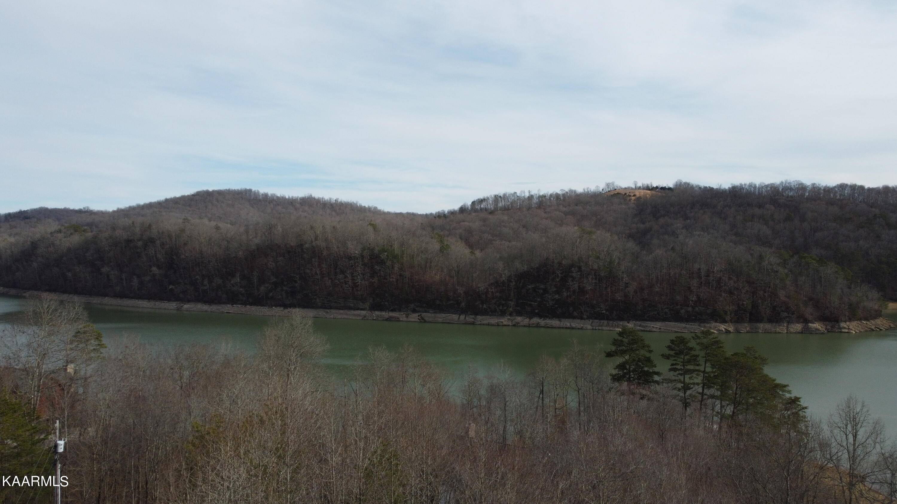 New Tazewell, TN 37825,Bluff View Road (LOT #298)