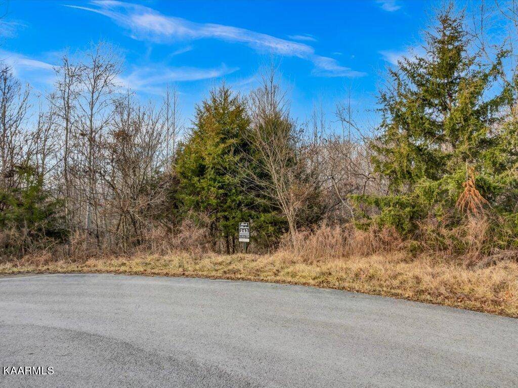 New Tazewell, TN 37825,Lot 243 Tanzanite Tr