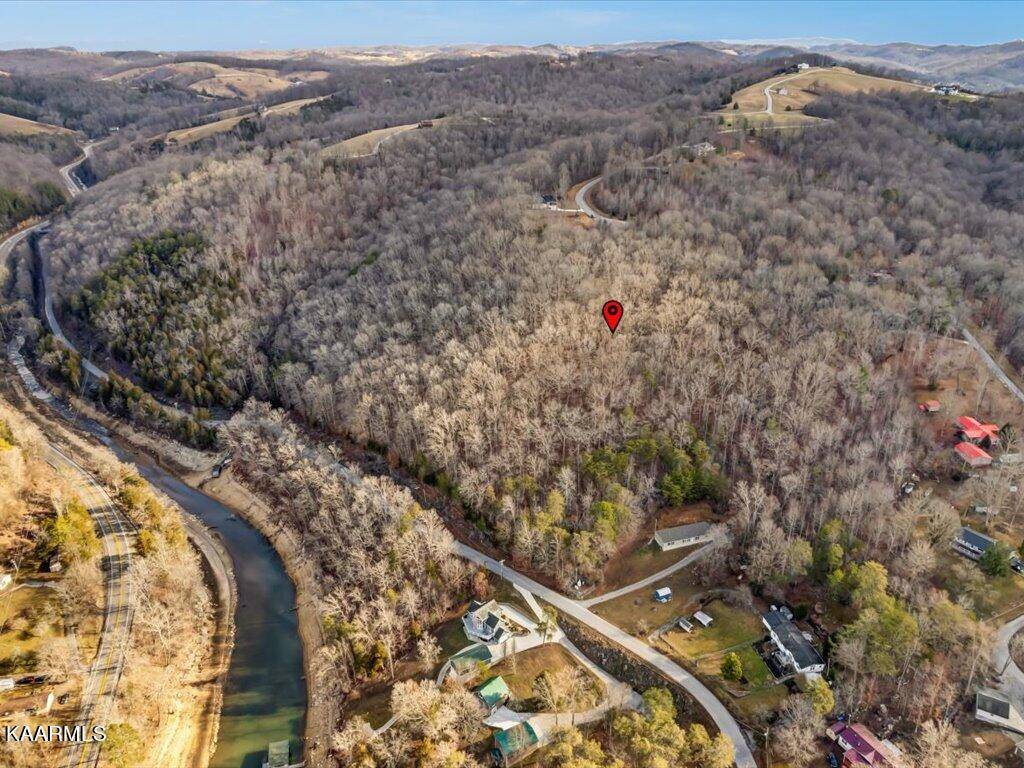 New Tazewell, TN 37825,Lot 243 Tanzanite Tr